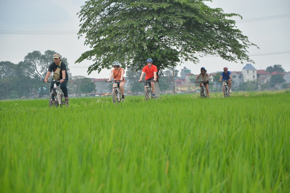 Safe Cycling Tour Hanoi for Tourists: The Ultimate Guide to Secure and Authentic Exploration